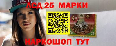 альфа пвп Новодвинск