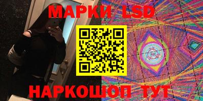 альфа пвп Новодвинск