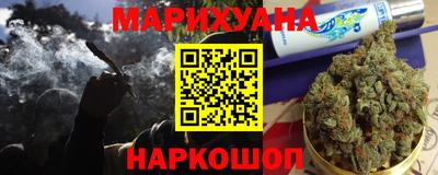 альфа пвп Новодвинск