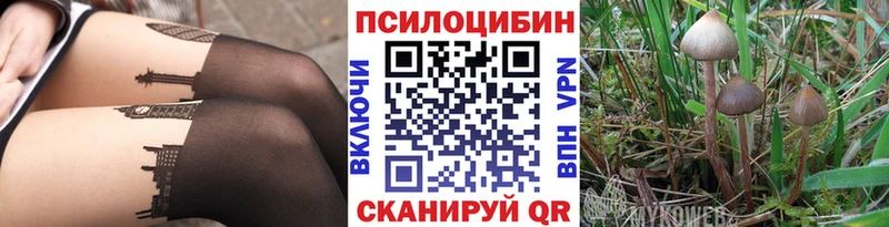 Псилоцибиновые грибы прущие грибы Находка