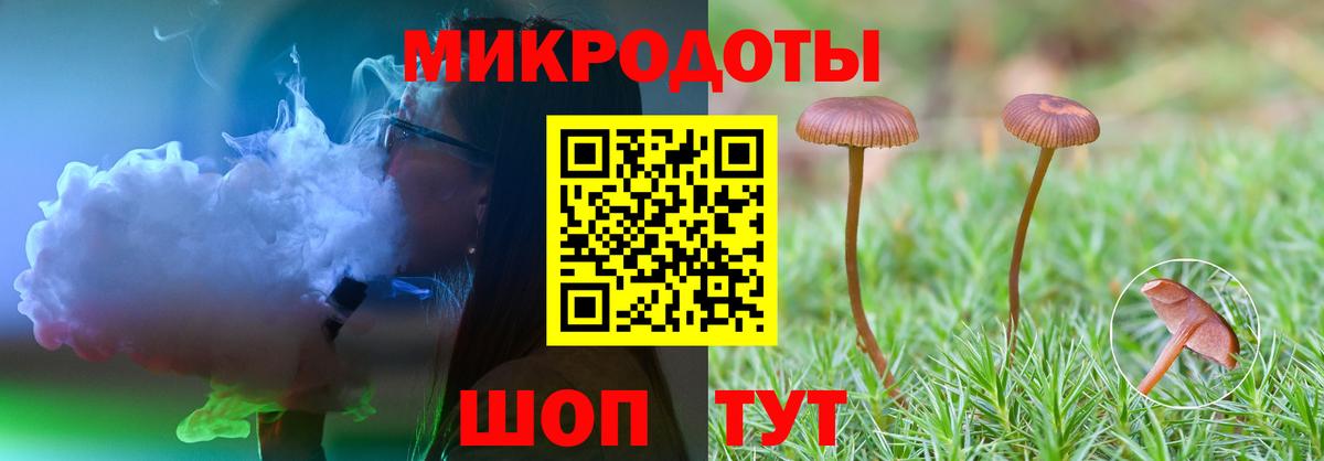 Галлюциногенные грибы прущие грибы  Вход с VPN  Находка 