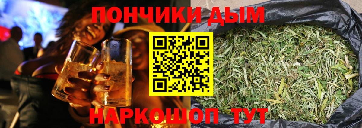 Шишки марихуана гибрид Находка